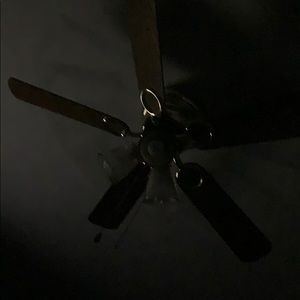 Meet your Posher, Caleb